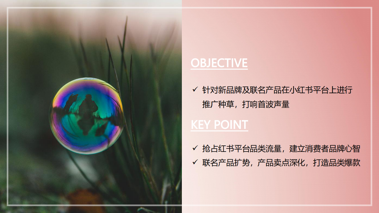 泡泡因子小红书种草营销方案对外版.pdf_第2页