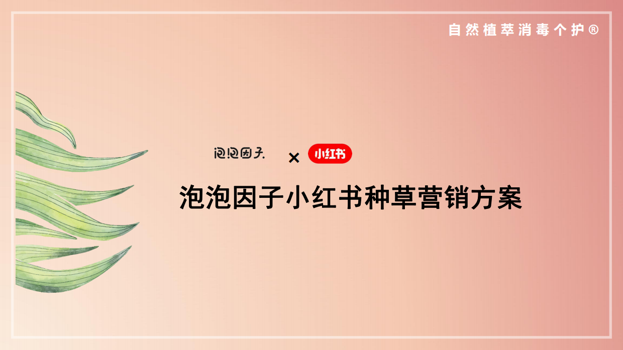 泡泡因子小红书种草营销方案对外版.pdf