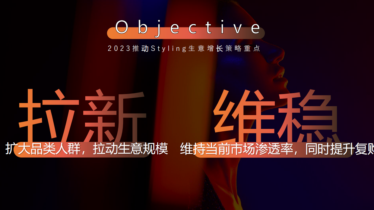 施华蔻Styling年度方案.pdf_第5页