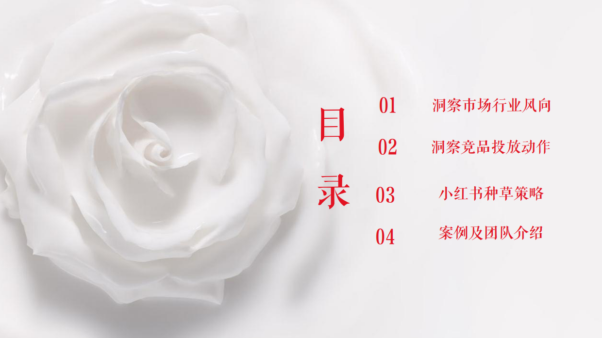 手膜产品小红书种草执行方案.pdf_第2页