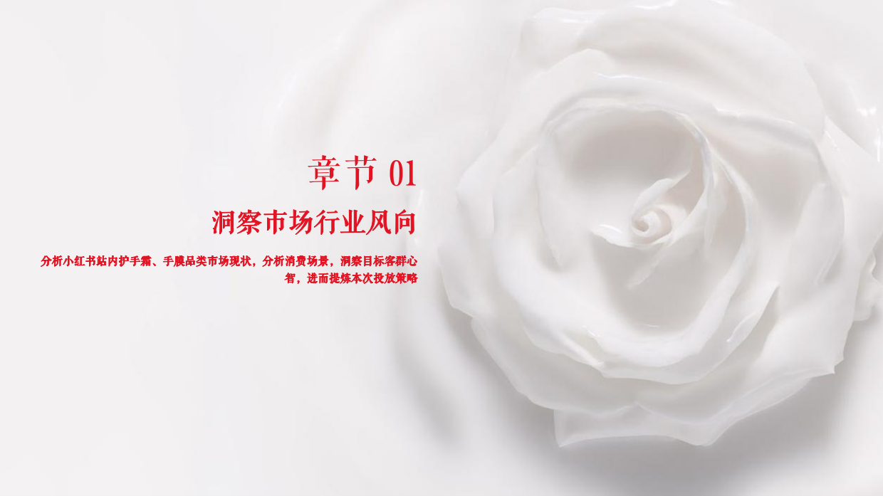 手膜产品小红书种草执行方案.pdf_第3页