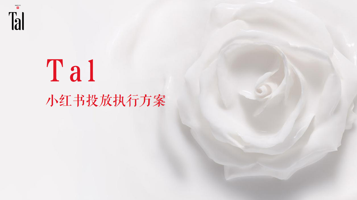手膜产品小红书种草执行方案.pdf