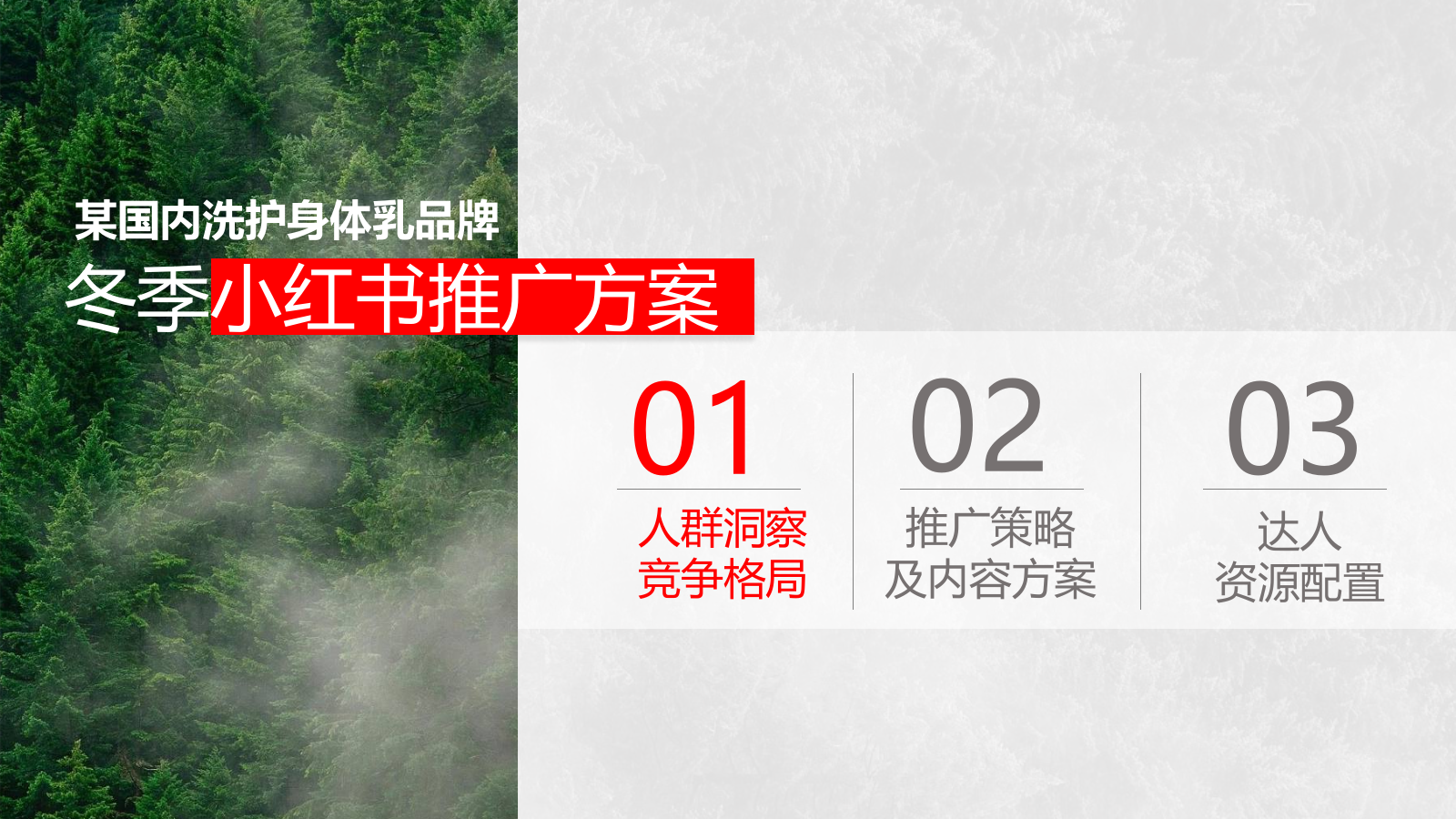Z品牌护肤洗护冬季小红书推广方案.pptx_第2页