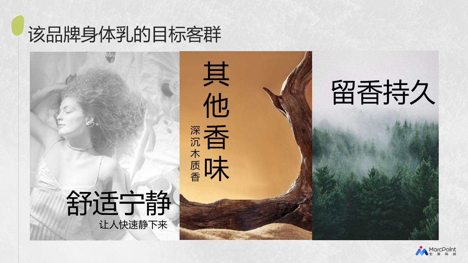 Z品牌护肤洗护冬季小红书推广方案.pptx_第9页