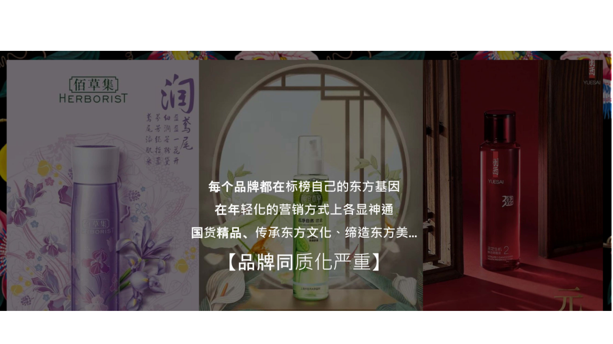 百雀羚X卜柯文campaign proposal.pdf_第4页