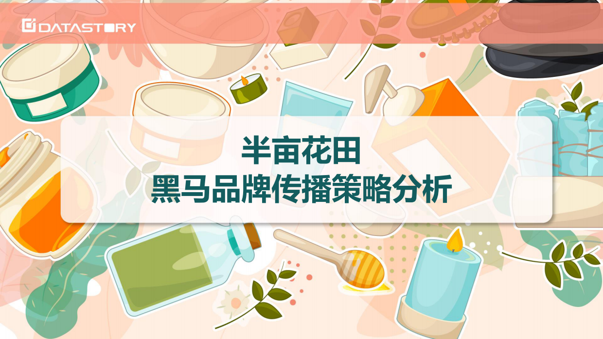 半亩花田黑马品牌传播策略分析.pdf_第1页