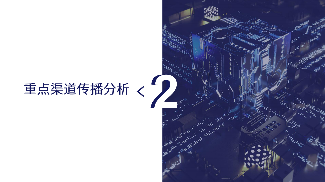 半亩花田黑马品牌传播策略分析.pdf_第9页