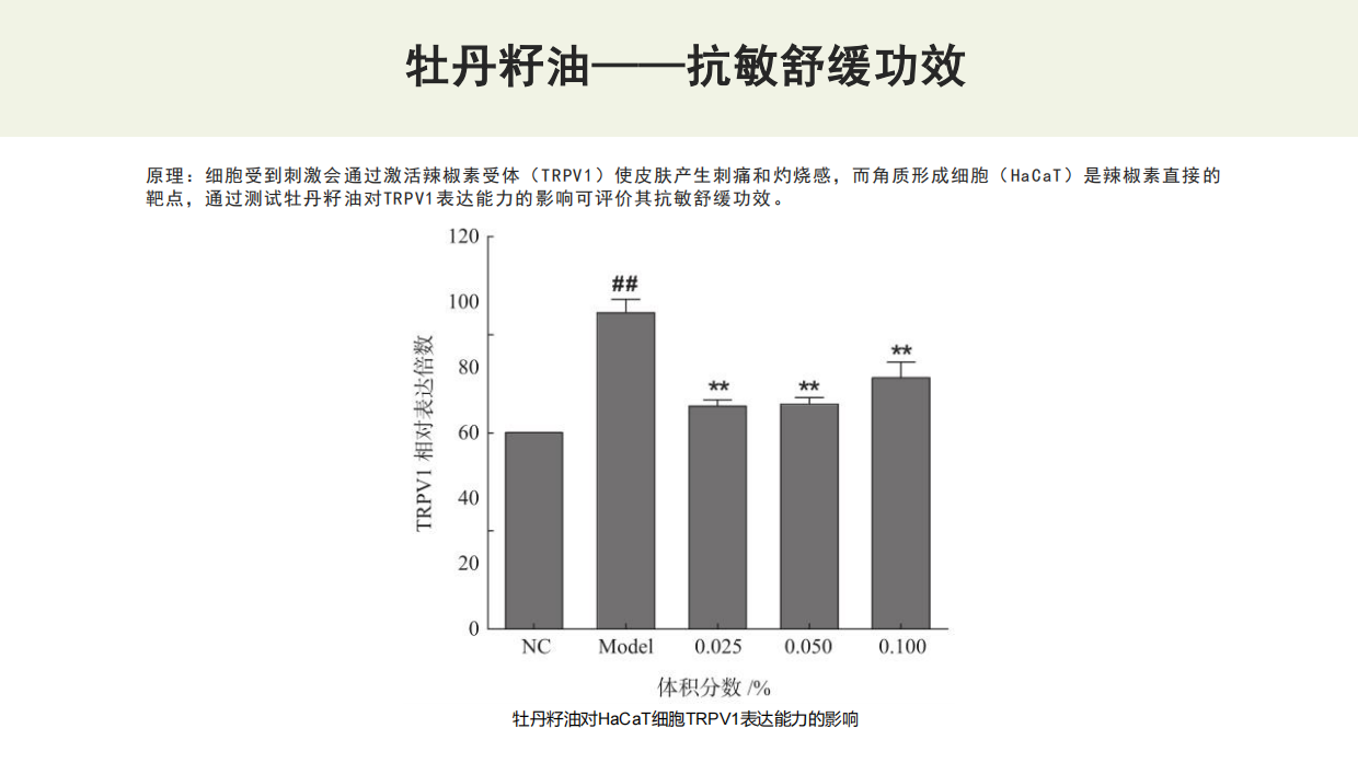 国货护肤品牌抗衰精华油产品Brief.pdf_第7页
