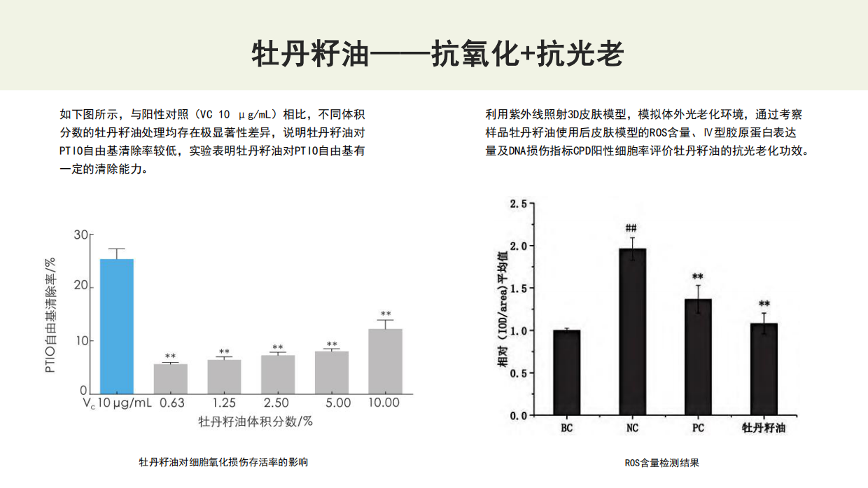 国货护肤品牌抗衰精华油产品Brief.pdf_第8页