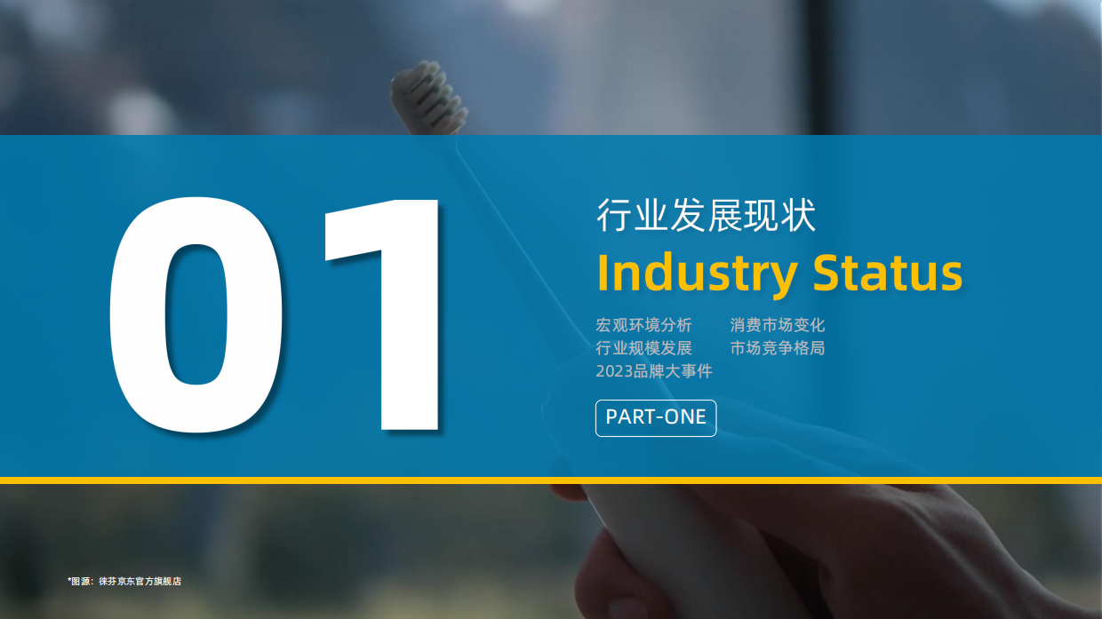 果集飞瓜：2023年电动牙刷行业年度洞察报告.pdf_第6页