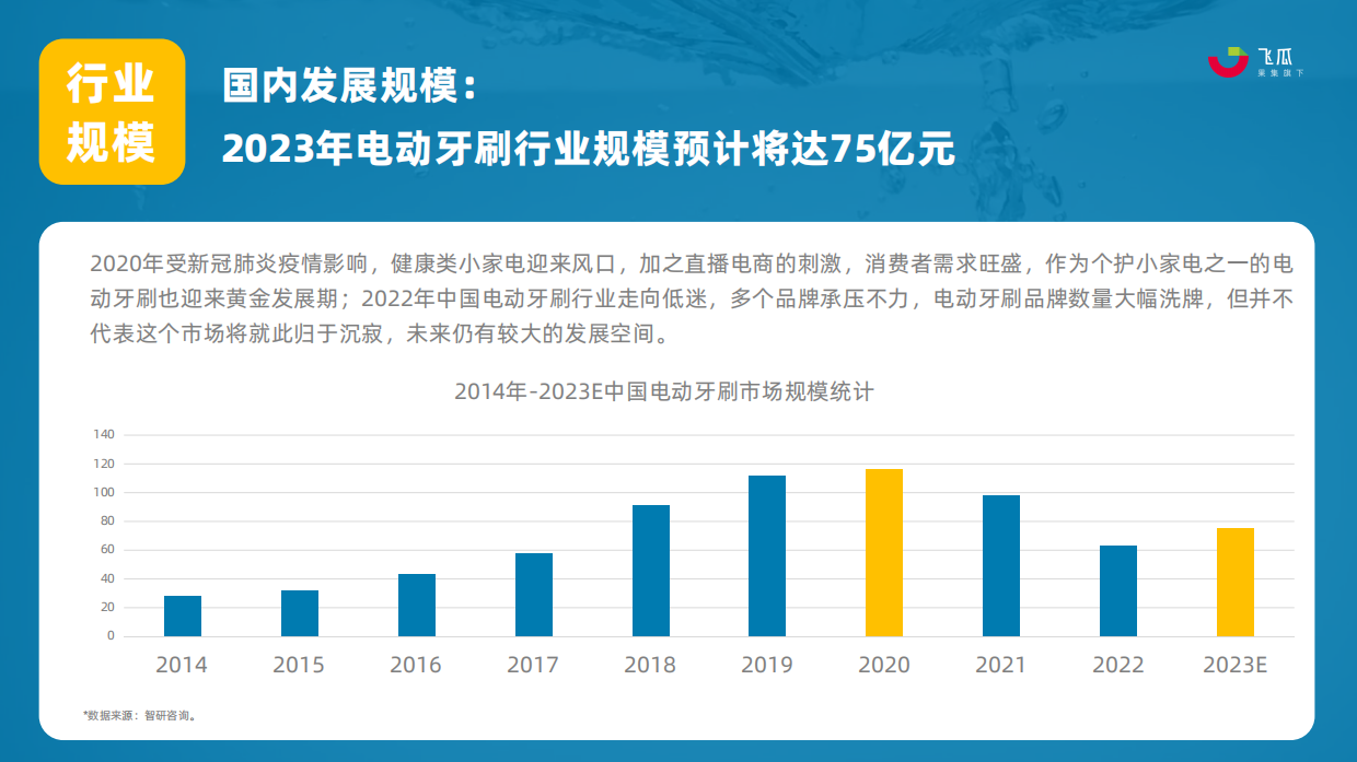 果集飞瓜：2023年电动牙刷行业年度洞察报告.pdf_第9页