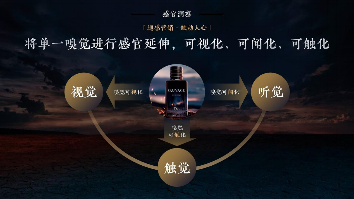 DIOR男士香水×小米商业跨界营销种草方案.pdf_第6页