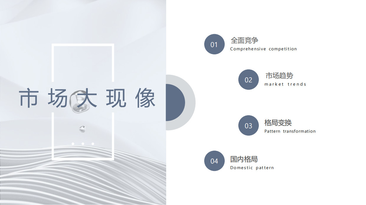 DYZ 郑多燕抗衰项目提案.pdf_第2页