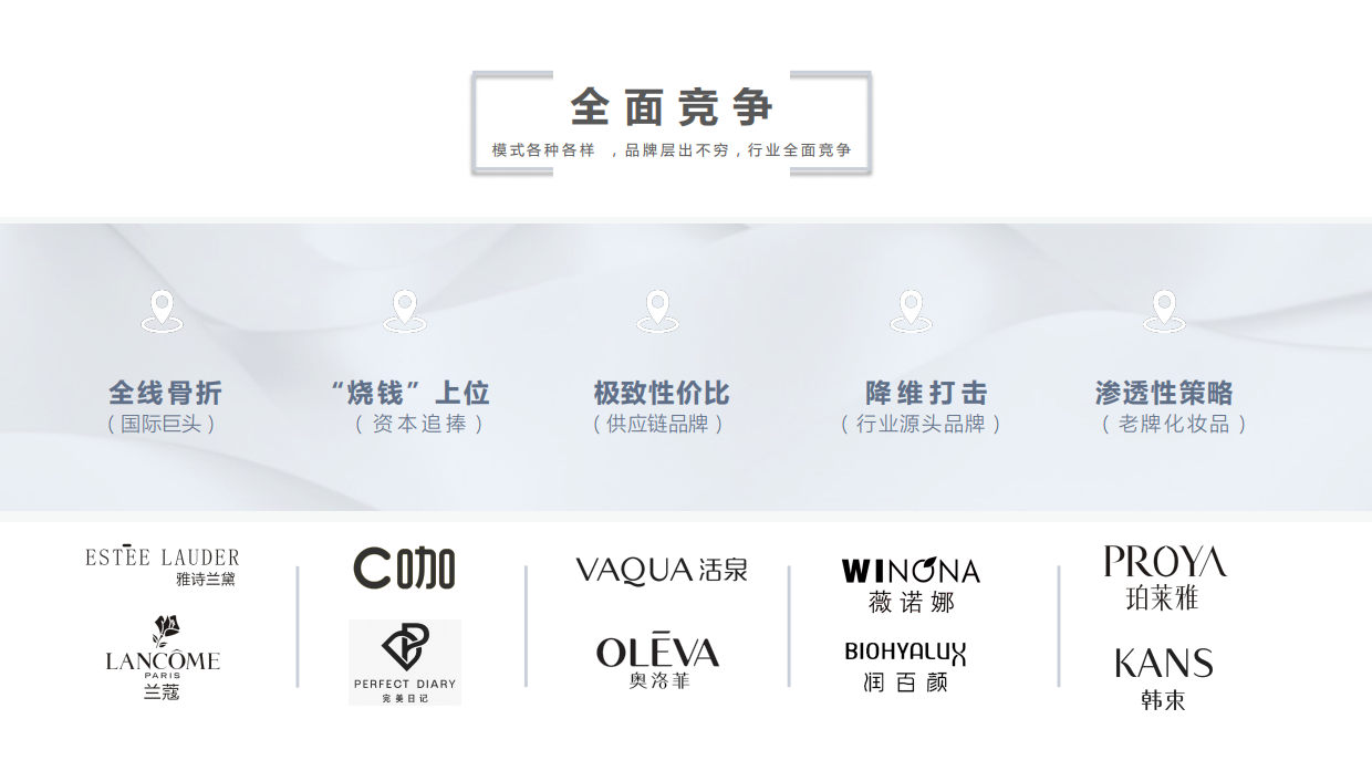DYZ 郑多燕抗衰项目提案.pdf_第3页