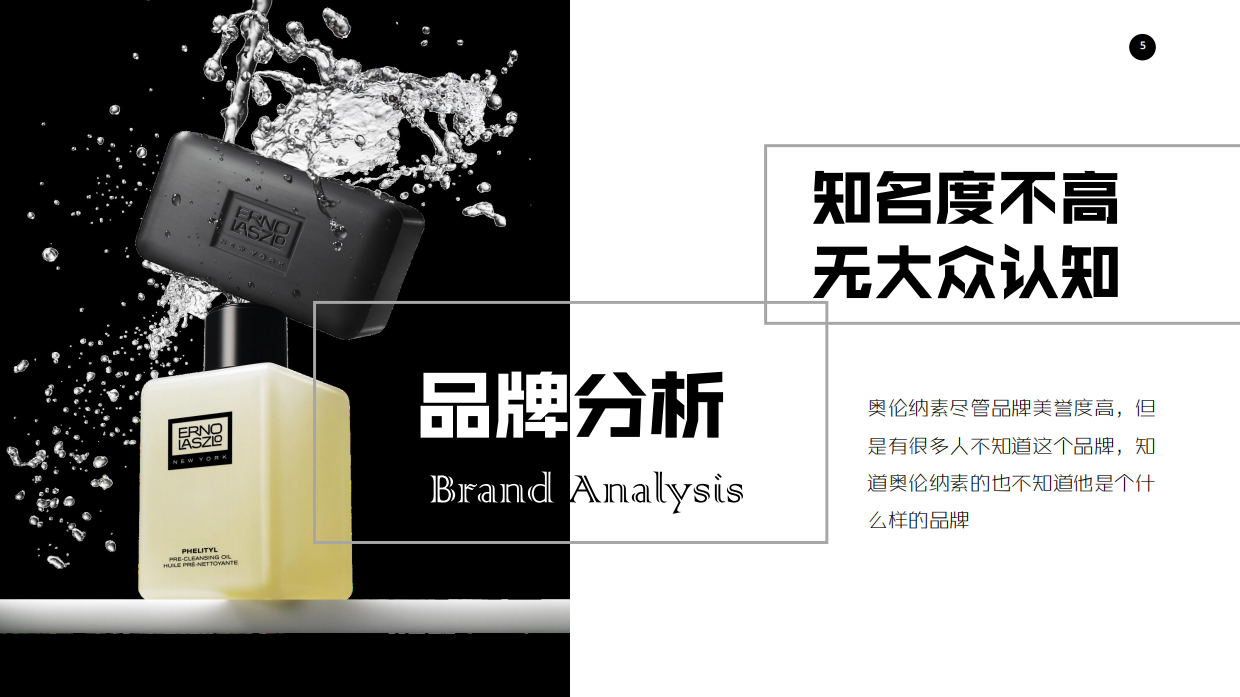 ENRO LASZLO CN品牌宣传策划案.pdf_第5页