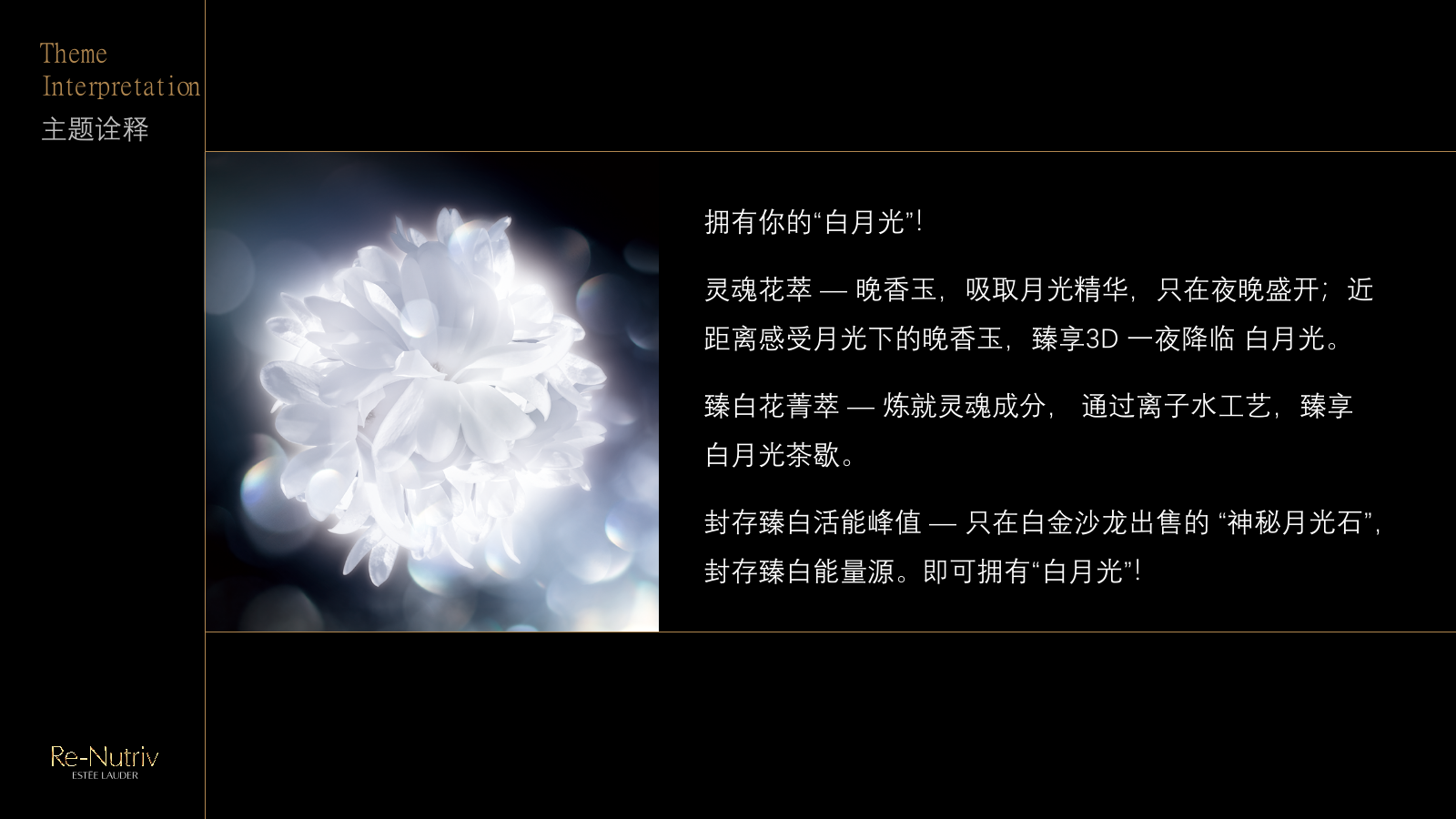 Estee Lauder - Workshop.pptx_第5页