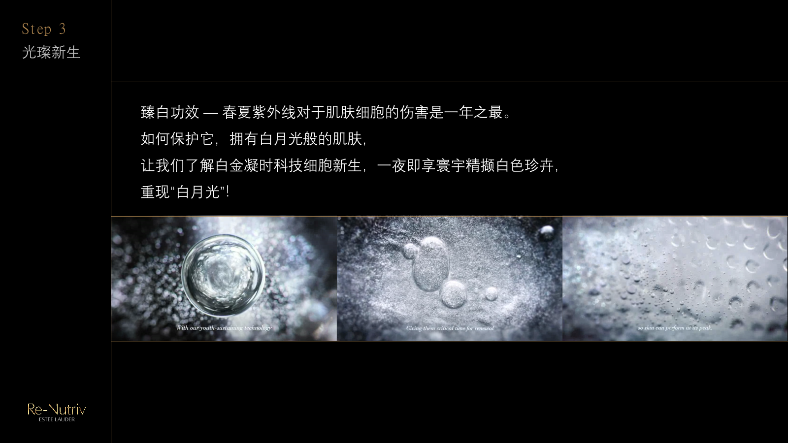 Estee Lauder - Workshop.pptx_第9页