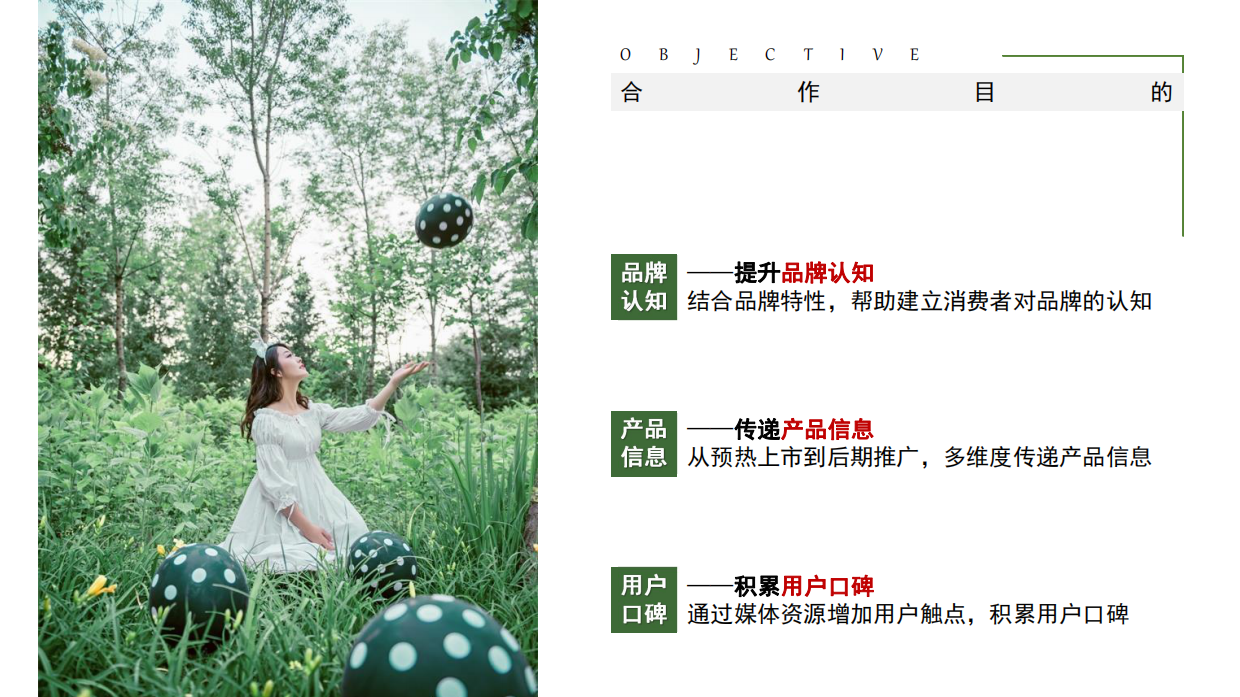 Onlylady-朵而护肤保湿新品上市媒体推广计划.pdf_第2页