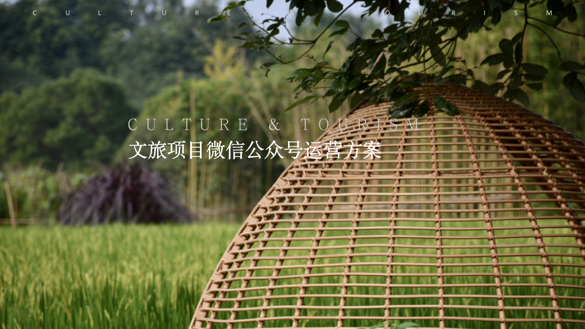 文旅田园民宿新媒体公众号运营方案.pptx_第1页