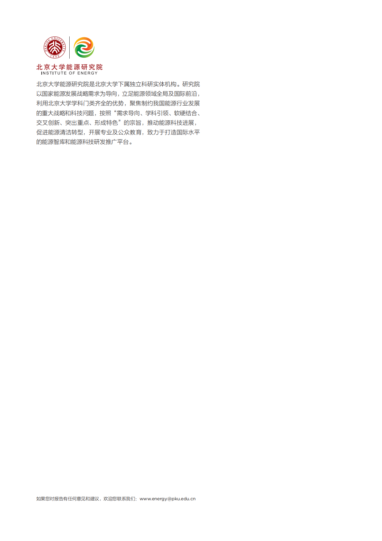 2026年从供给焦虑到需求韧性—大变局下的中国能源安全与战略重构白皮书-北京大学能源研究院.pdf_第2页