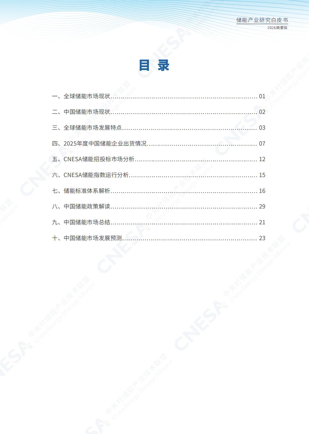 中国能源研究会储能专委会：2026年储能产业研究白皮书（摘要版）.pdf_第10页
