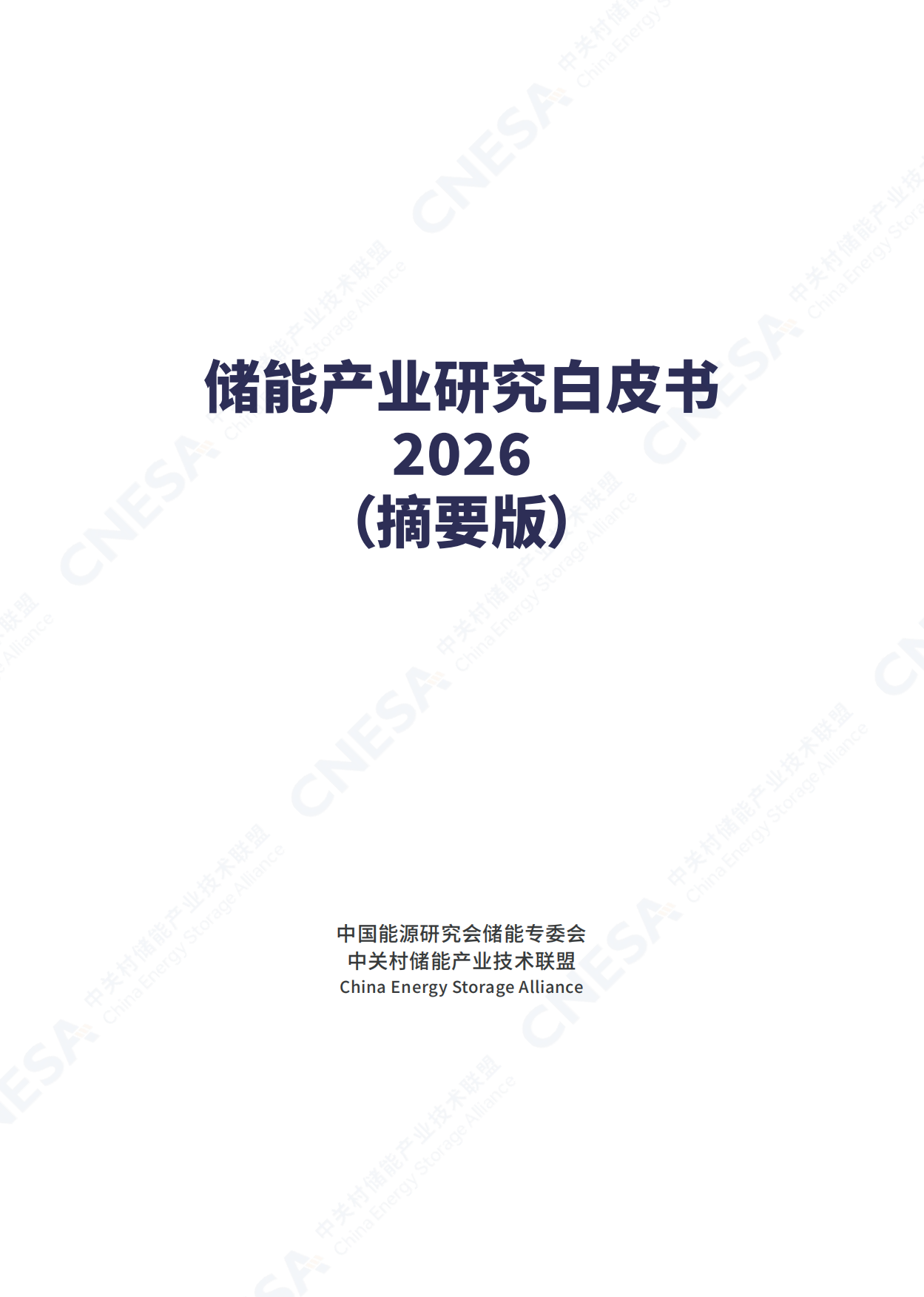 中国能源研究会储能专委会：2026年储能产业研究白皮书（摘要版）.pdf_第2页
