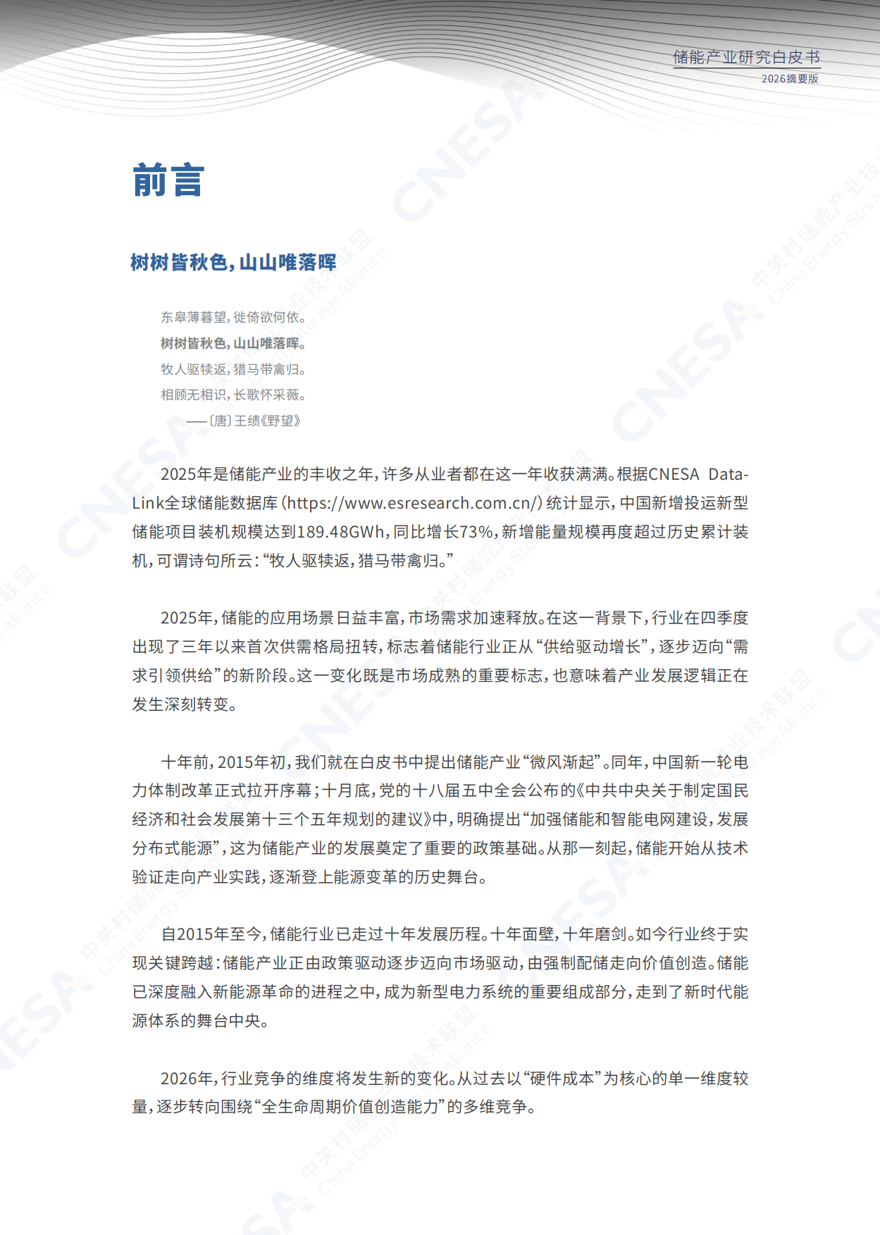 中国能源研究会储能专委会：2026年储能产业研究白皮书（摘要版）.pdf_第6页