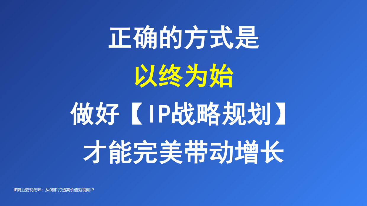 IP商业变现闭环.pdf_第6页