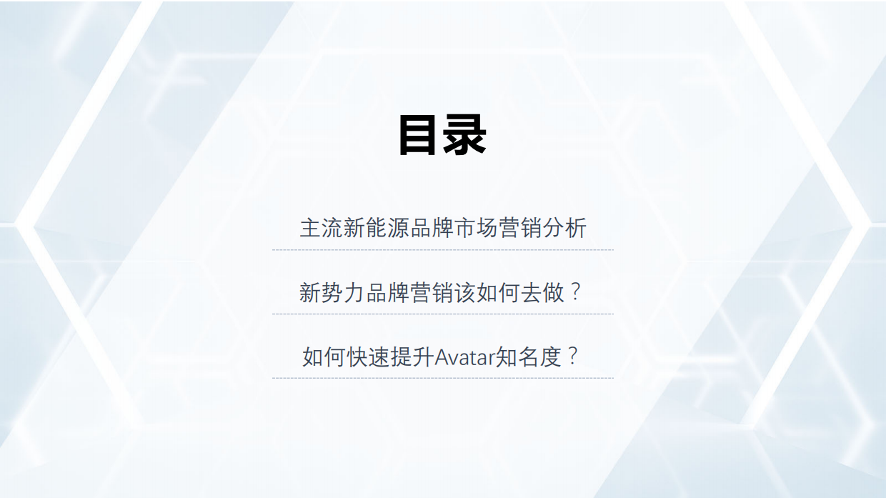 AVATAR社会化营销方案.pdf_第2页