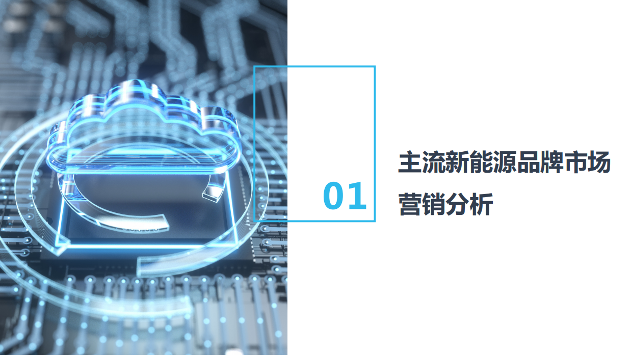 AVATAR社会化营销方案.pdf_第3页