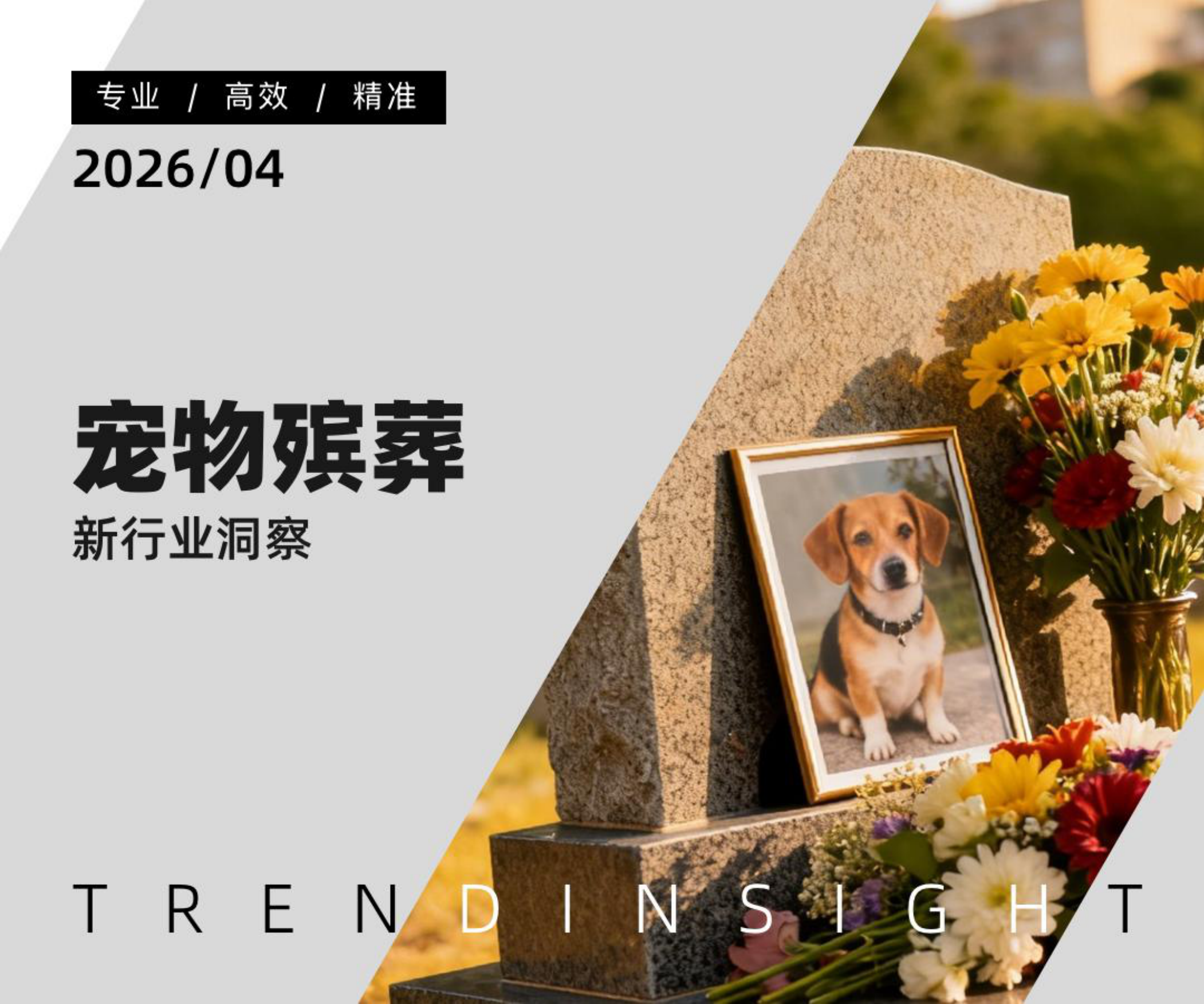 2026宠物殡葬行业洞察-炼丹炉.pdf_第1页