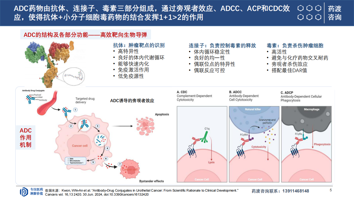 2026ADC研发全球格局与下一代演进趋势-药渡咨询.pdf_第5页