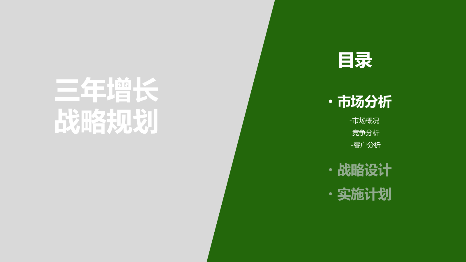 三年增长战略规划PPT.pptx_第2页