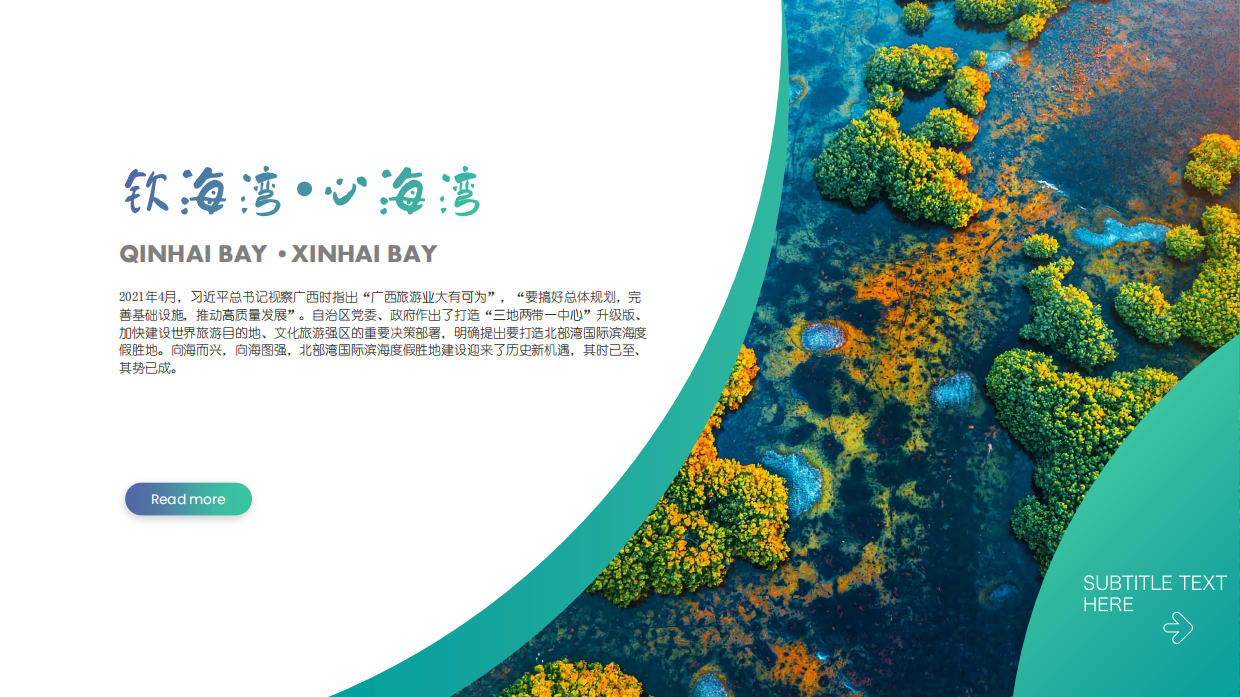 文旅城市海湾海岛滨海旅游度假区整体规划方案.pdf_第2页