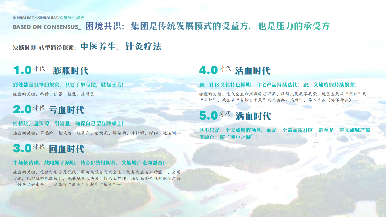 文旅城市海湾海岛滨海旅游度假区整体规划方案.pdf_第9页