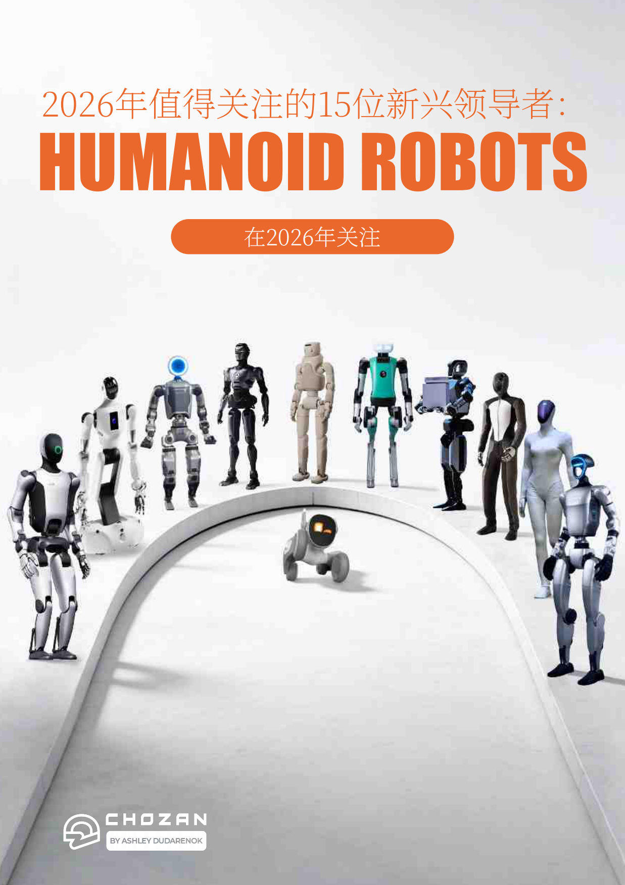 2026年全球前15名类人机器人-CHOZAN.pdf_第1页