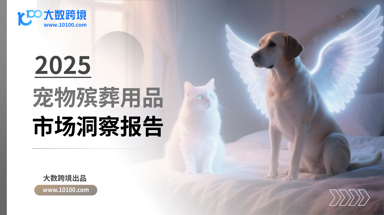 2025宠物殡葬用品市场洞察报告-大数跨境-41页.pdf_第1页