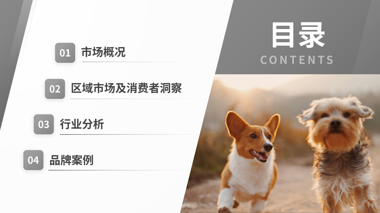 2025宠物殡葬用品市场洞察报告-大数跨境-41页.pdf_第3页