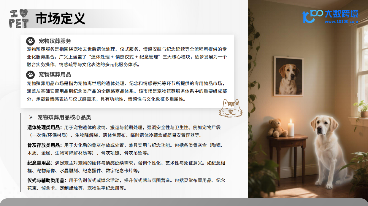 2025宠物殡葬用品市场洞察报告-大数跨境-41页.pdf_第5页