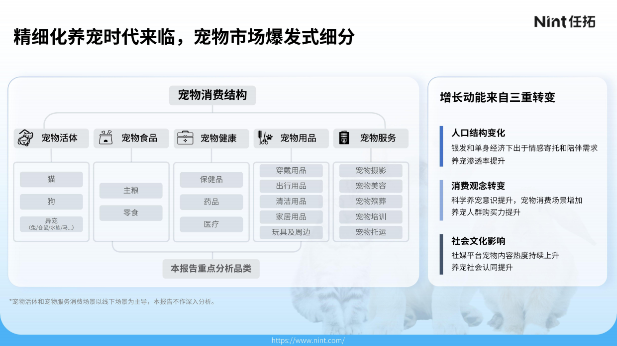 2025宠物电商行业报告-任拓-32页.pdf_第7页