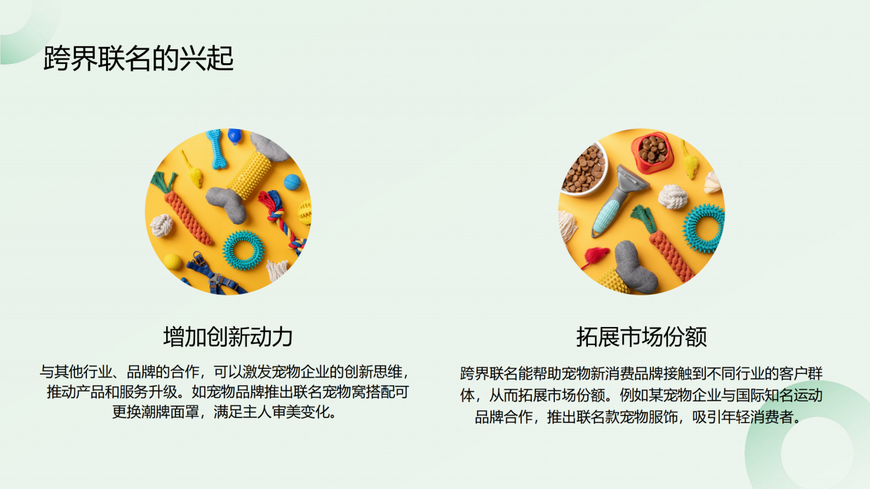 2025宠物新消费品牌跨界联名ROI测算-42页.pdf_第4页