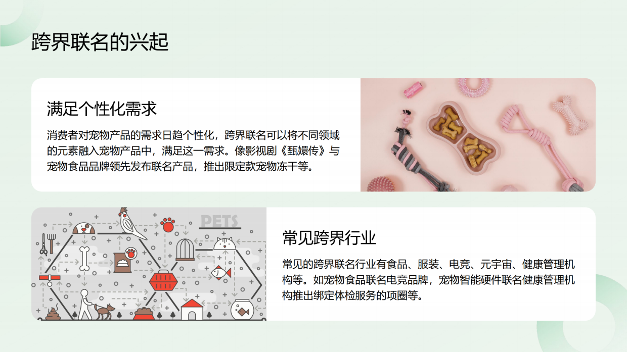 2025宠物新消费品牌跨界联名ROI测算-42页.pdf_第5页