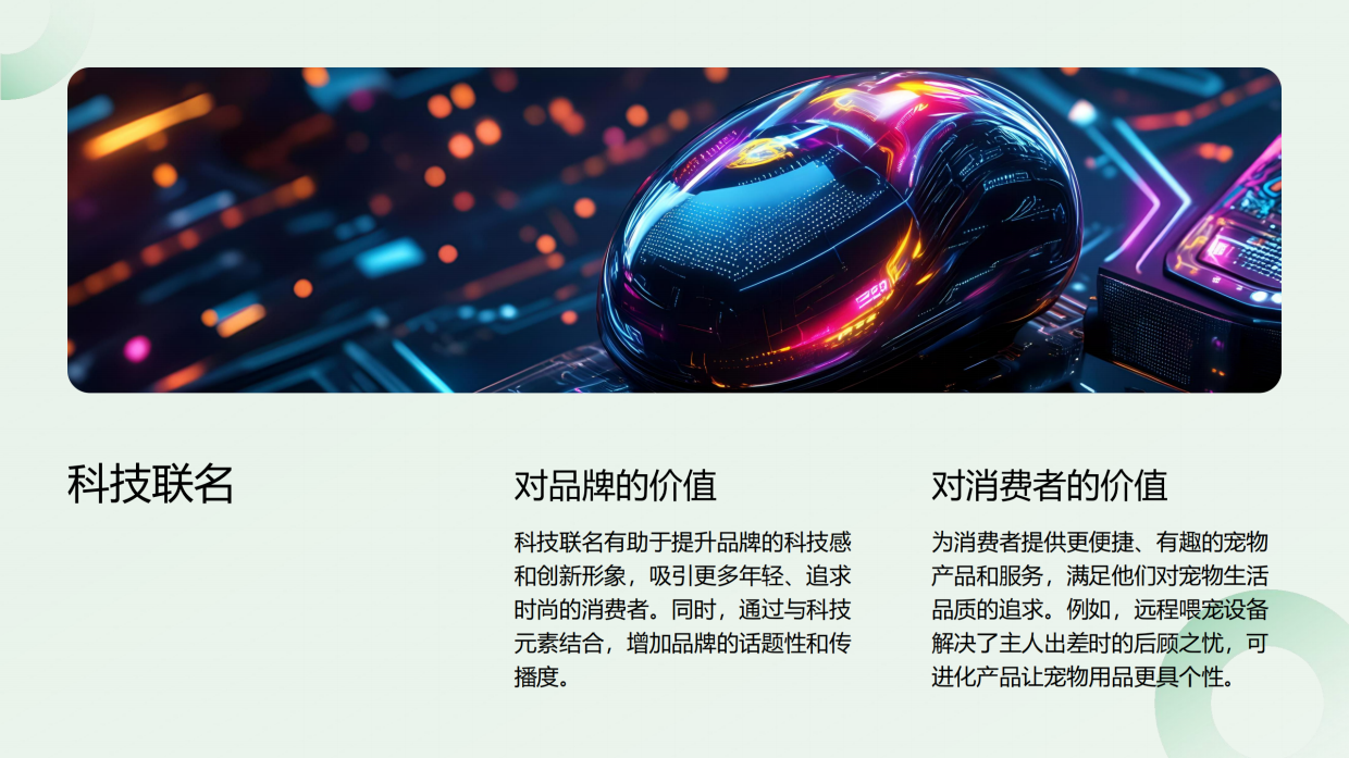2025宠物新消费品牌跨界联名ROI测算-42页.pdf_第8页