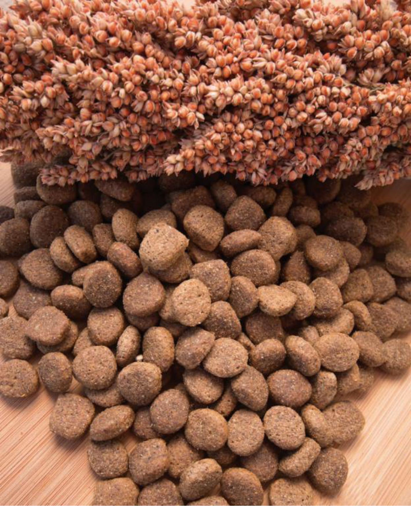 2025宠物行业高粱：宠物食品配方聪明之选-SORGHUM-20页.pdf_第2页