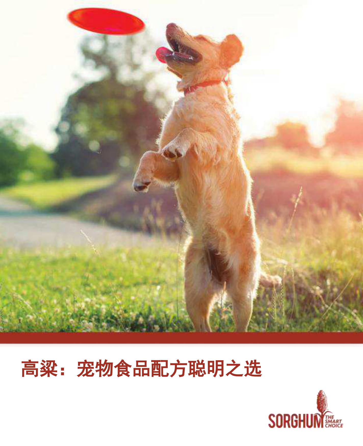 2025宠物行业高粱：宠物食品配方聪明之选-SORGHUM-20页.pdf