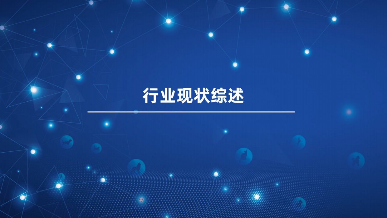 2025宠物行业蓝皮书简版-亚宠研究院-64页.pdf_第3页
