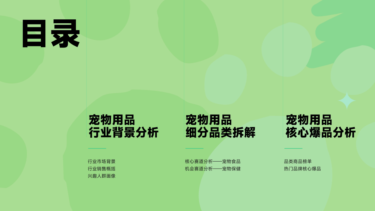 2025抖音电商宠物用品行业分析报告-蝉妈妈&蝉魔方-31页.pdf_第4页