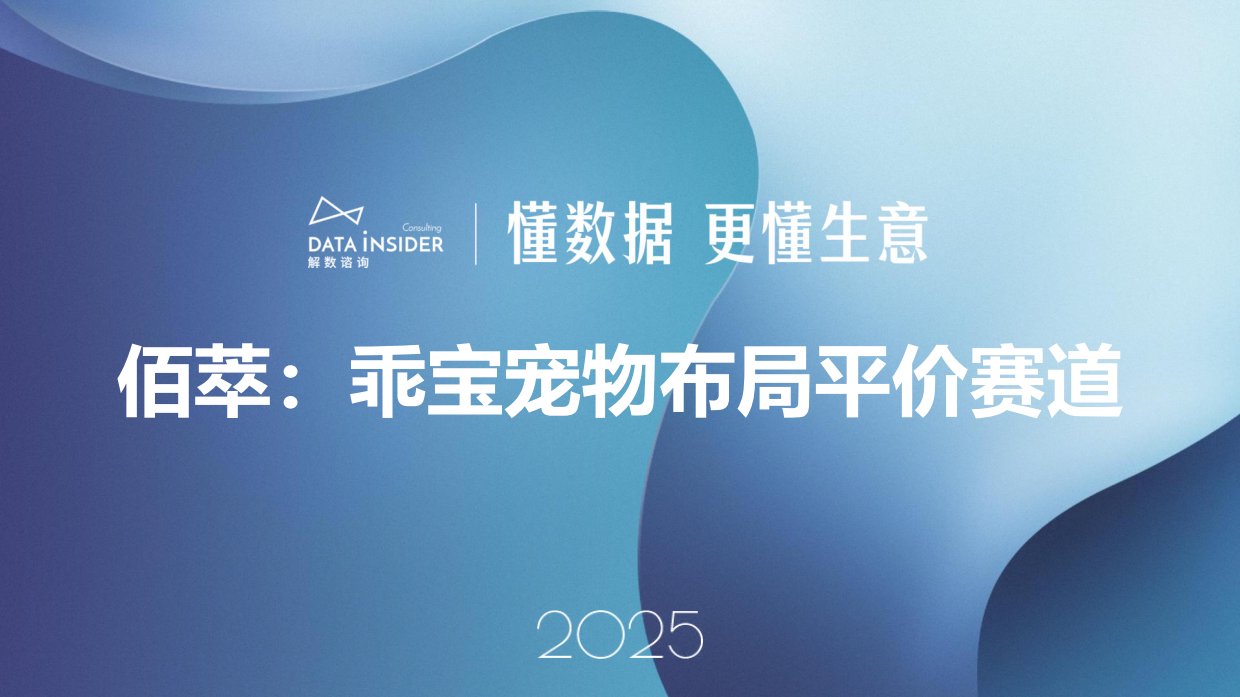 2025乖宝宠物布局平价赛道-解数咨询-41页.pdf_第1页