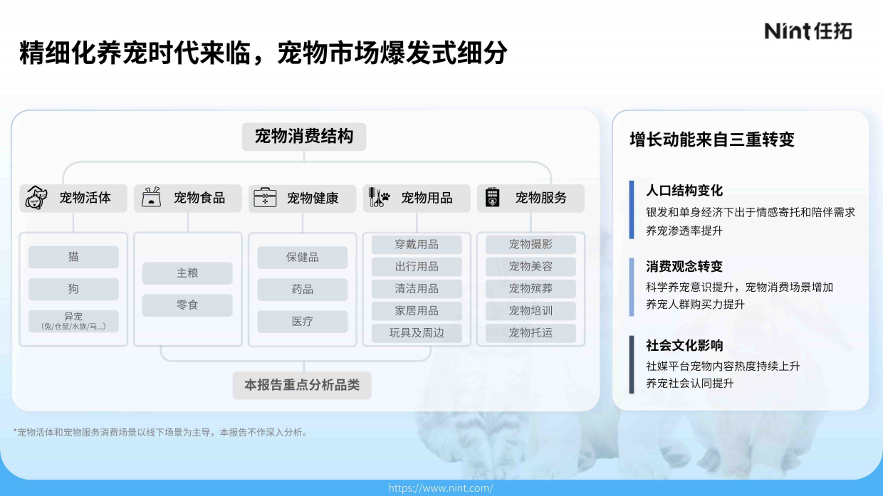 2025年宠物电商市场分析报告-Nint任拓-32页.pdf_第7页