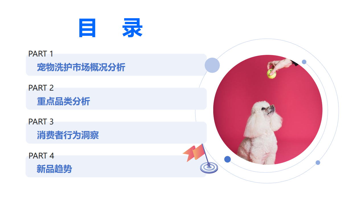 2025年宠物洗护市场复盘总结及新品趋势-智云京造-32页.pdf_第4页